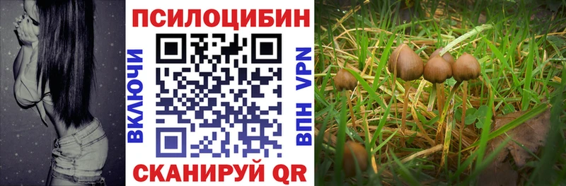 Купить  Яровое  Галлюциногенные грибы прущие грибы 